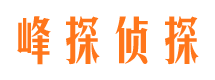 山城侦探